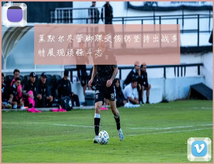 莱默尔尽管脚踝受伤仍坚持出战多特展现顽强斗志